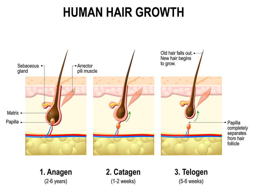 Am I Losing Hair? 3 Signs Ladies Need To Look Out For
